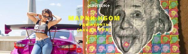 стафф Ладушкин
