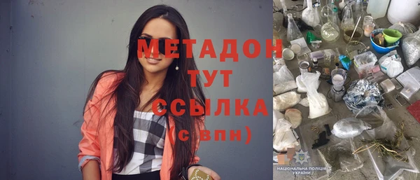 шишки Лабытнанги