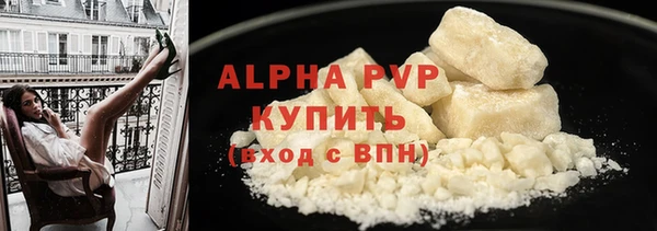 шишки Лабытнанги