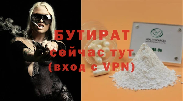 шишки Лабытнанги
