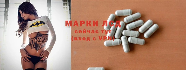 шишки Лабытнанги