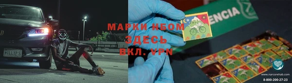 шишки Лабытнанги