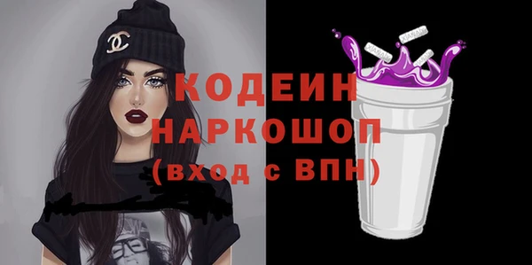 шишки Лабытнанги