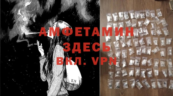 стафф Ладушкин