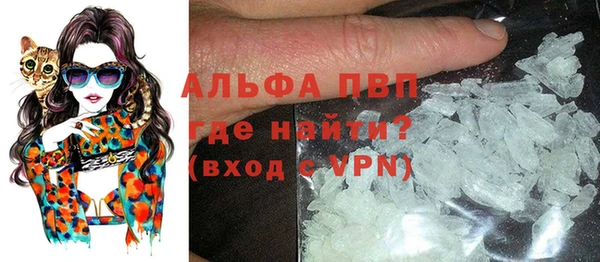 шишки Лабытнанги