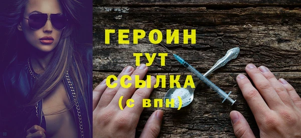 шишки Лабытнанги