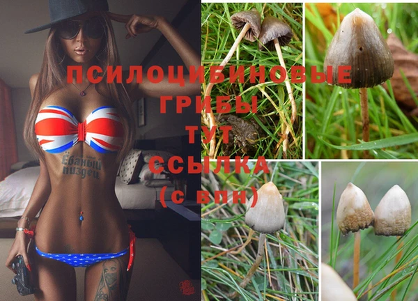 шишки Лабытнанги