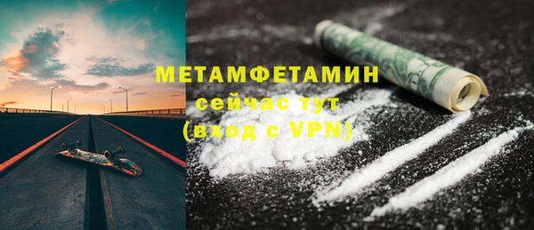 шишки Лабытнанги