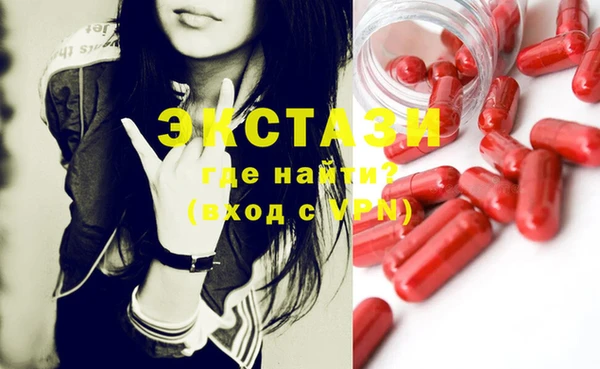 шишки Лабытнанги
