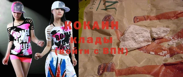 шишки Лабытнанги