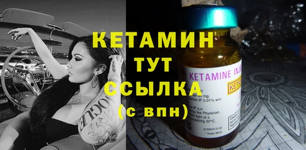 шишки Лабытнанги