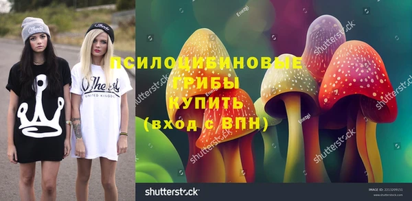 стафф Ладушкин