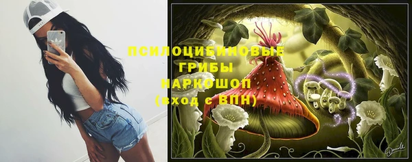 стафф Ладушкин