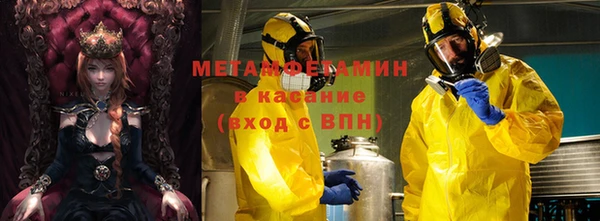 шишки Лабытнанги