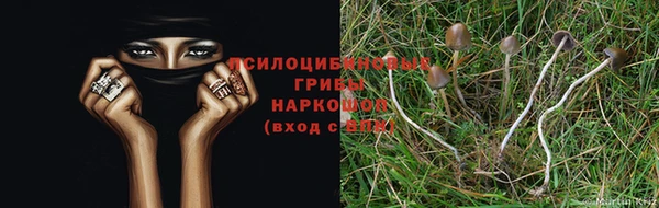 стафф Ладушкин