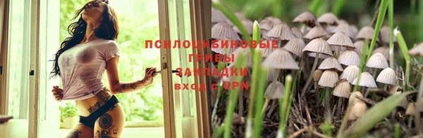 стафф Ладушкин